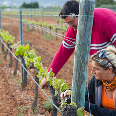 personas_revisando_campo